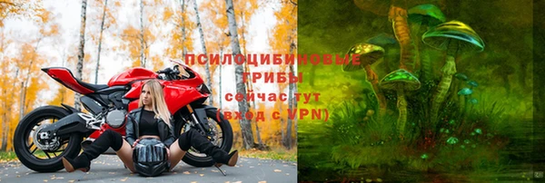 мяу мяу мука Абинск